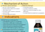 do design a professional brochure for your brand